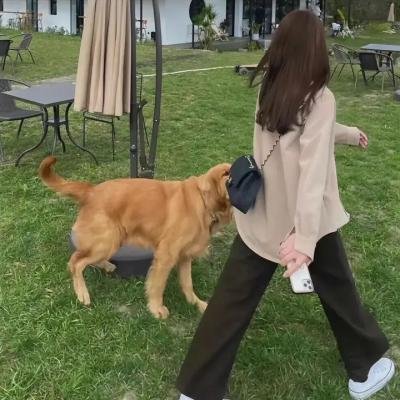 兔子杀人啊2!